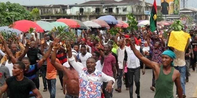 MASSOB mobilises for Biafra referendum