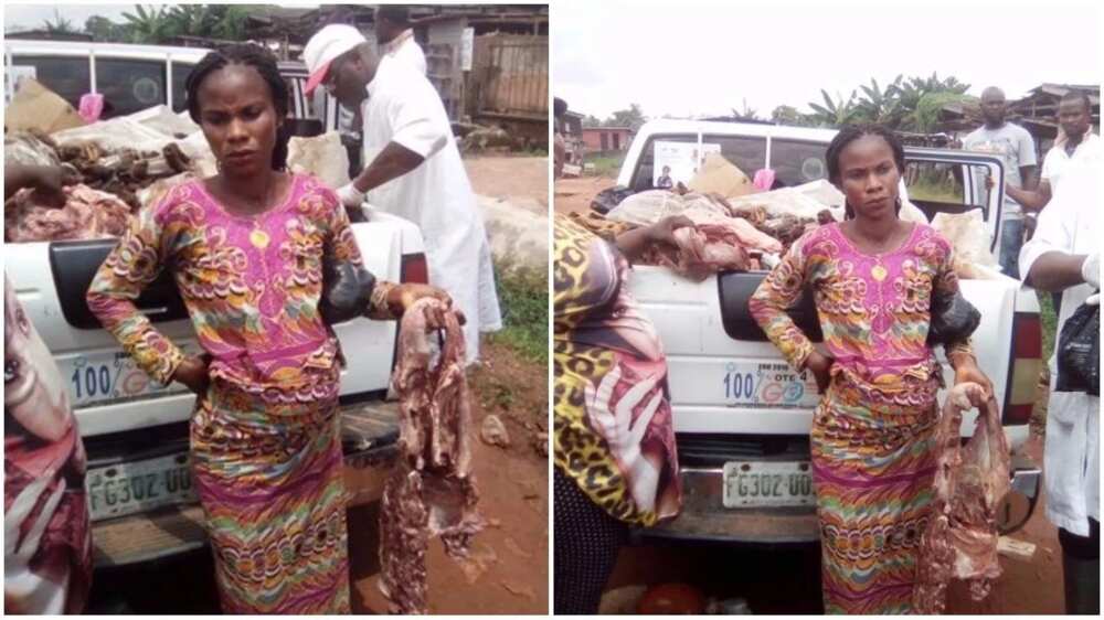 Donkey meat in place of cow meat Donkey meat in place of cow meat