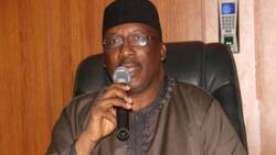 Dambazau calls for cleanup of weapons, drugs among Fulani youths