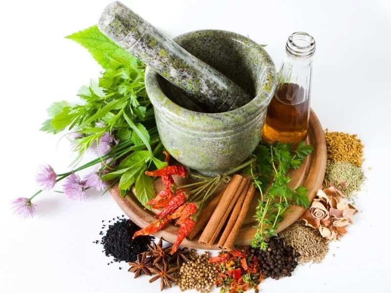 the-list-of-5-common-medicinal-plants-and-herbs-in-nigeria-legit-ng