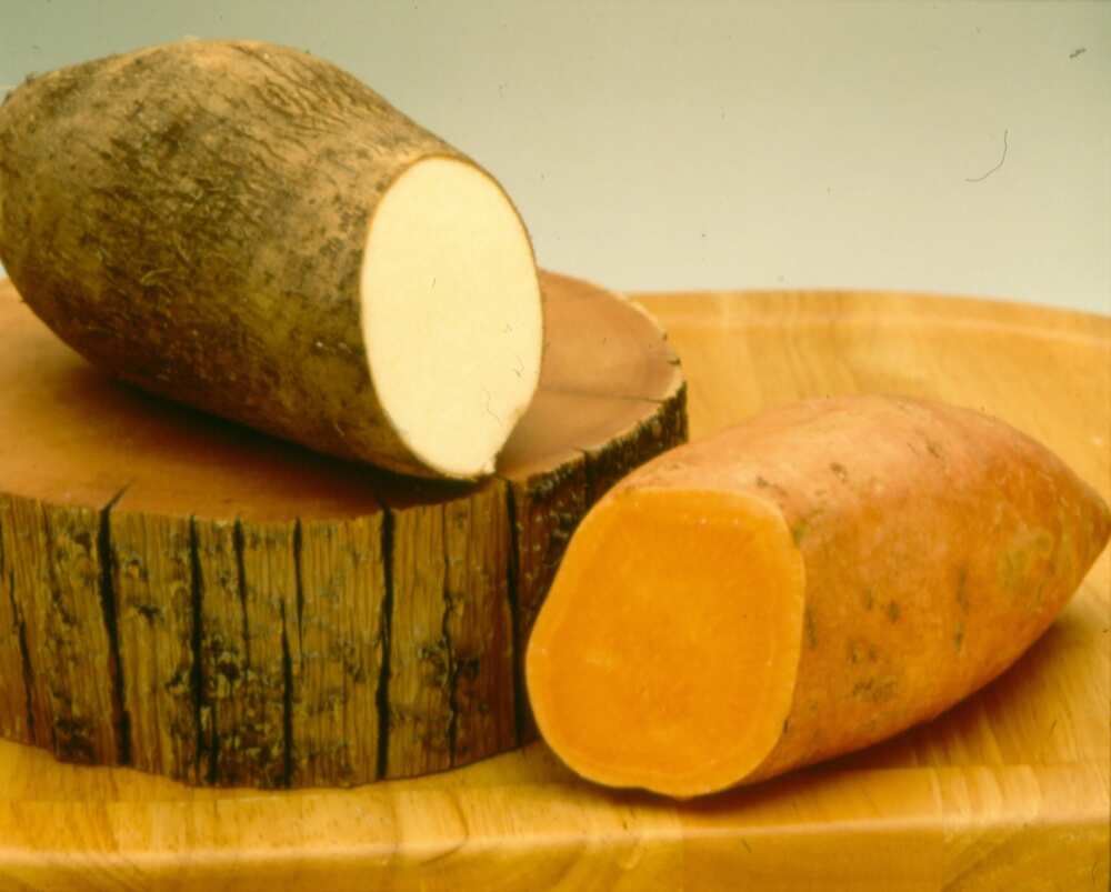 The main agricultural products in Nigeria: yam The main agricultural products in Nigeria: yam
