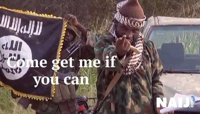 Controversial death: 5 times BH leader Shekau has been killed