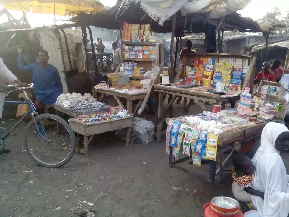 Al’amura sun daidaita a garin Baga ta jihar Borno