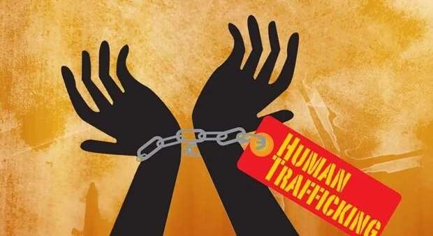 What are the major causes of human trafficking in Nigeria?