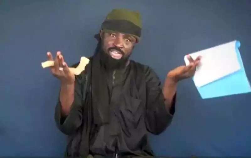 Lawmaker sacks aide for calling Boko Haram leader Shekau hero