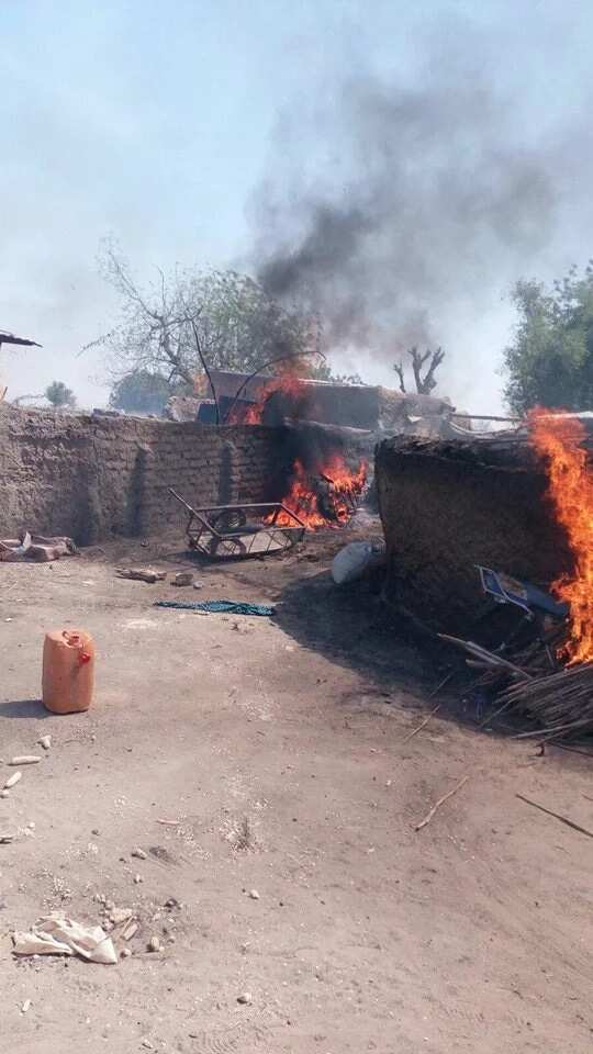 Boko Haram: Army Releases Report On Operation Lafiya Dole