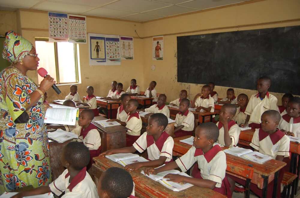 private-schools-in-lagos-legit-ng