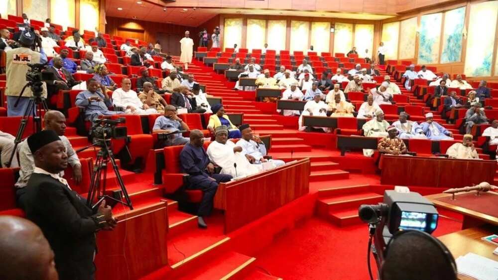 How many senators do we have in Nigeria? Legit.ng