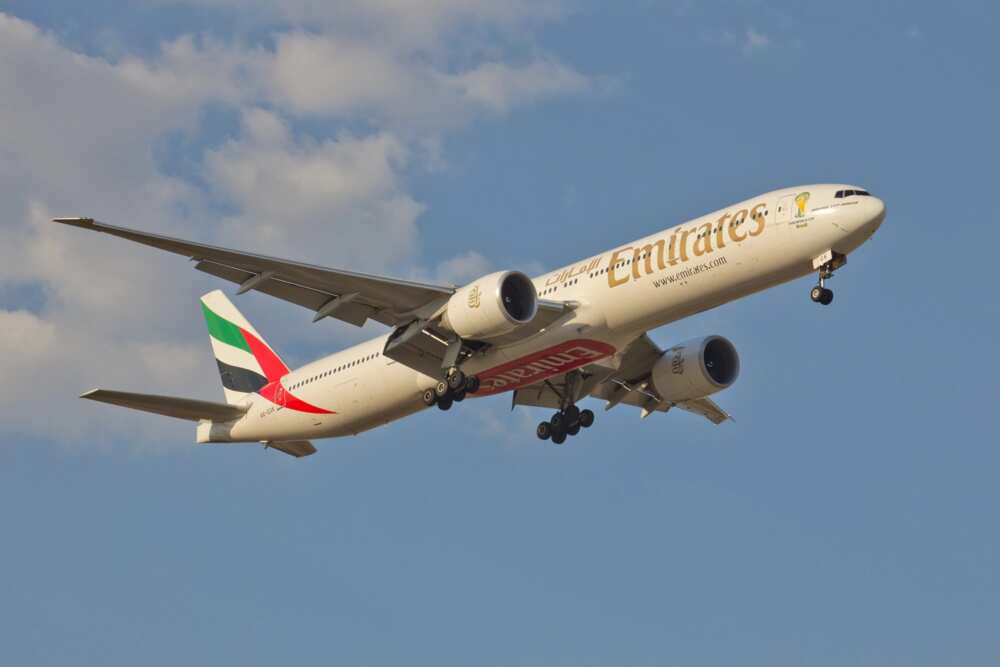 Senate probe Emirates Airlines