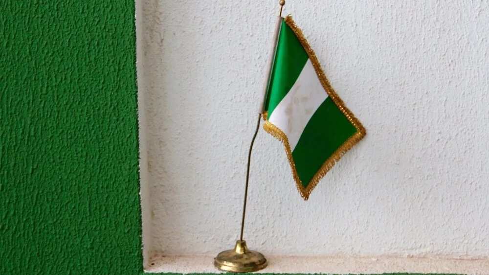The Sad Story Of A Man Who Designed Nigeria’s Flag