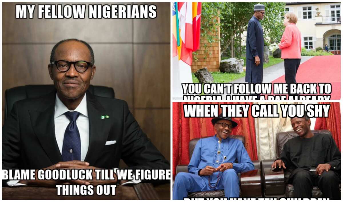 20 Most Hilarious Buhari Memes You Have Ever Seen Legitng