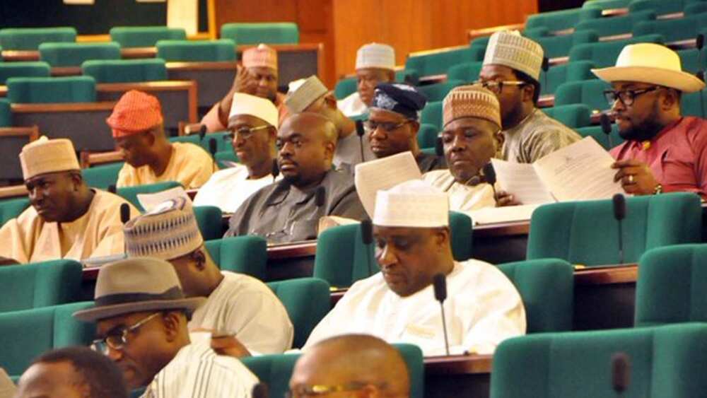 How many members are in the House of Representatives in Nigeria? Legit.ng