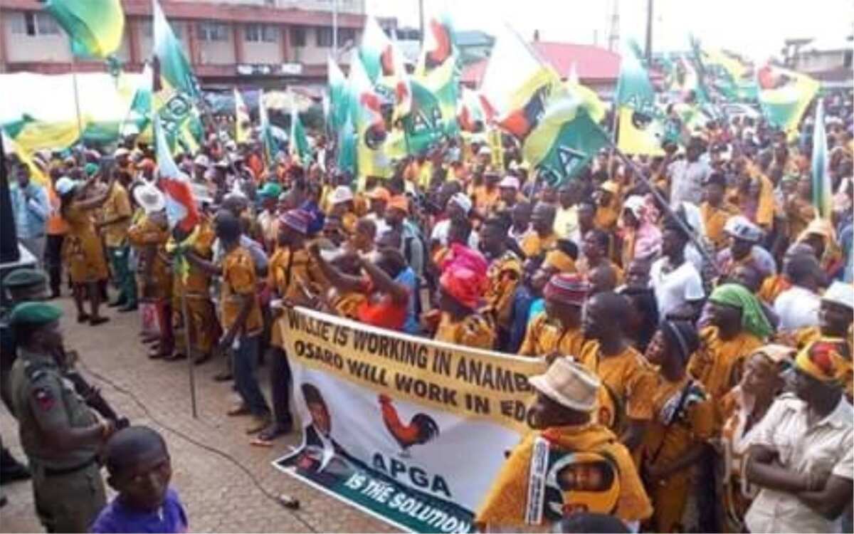 BREAKING: Court nullifies APGA guber primary in southeast state