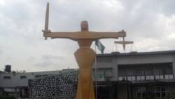 “Wahala be like portable”: Tenant drags landlady to court for refusing to sell house to him, judge intervenes