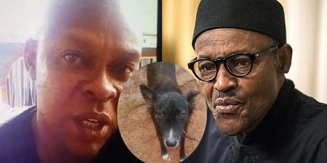 BREAKING: Man who named dog Buhari set free from jail