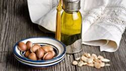 Argan oil benefits for hair: reasons you should start using it now