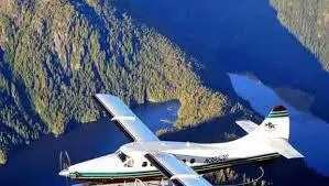 Plane Crash: Pilot And Eight Passengers Kiiled
