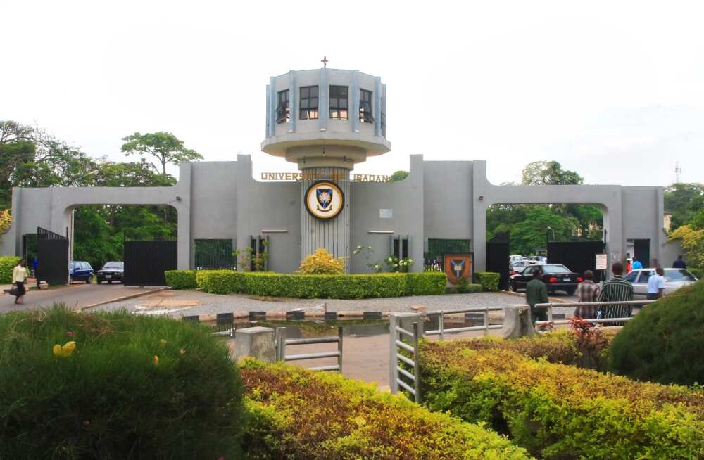Adebowale becomes the new vice-chancellor of the University of Ibadan.