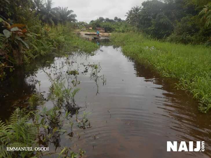 Pathetic Story Of Oil Community Ravaged By Sufferings, Bad Social Amenities (Photos)