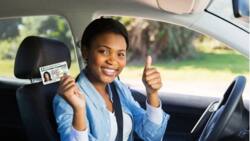 Step-by-step guide on how to obtain international driver's license in Nigeria