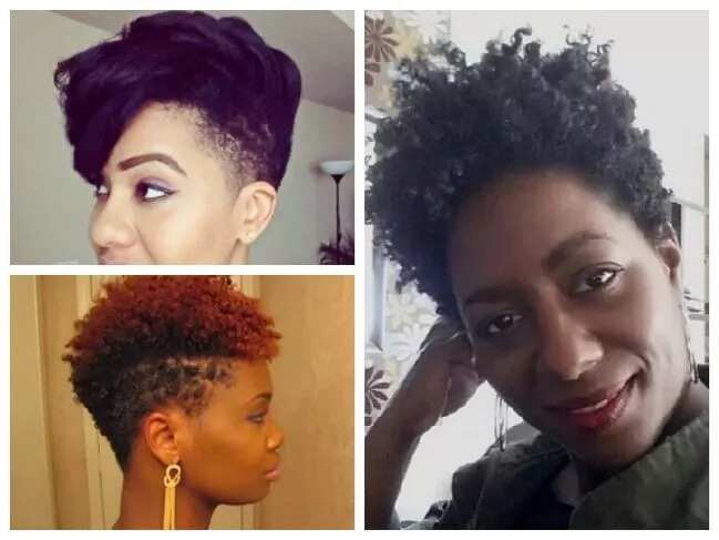 Barbing Hair Styles for Ladies 2017-2018 - Legit.ng