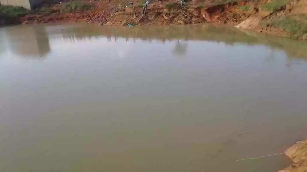 Kisan Janar a Filato: Kungiyoyin addinai sun rikita garin Jos da zanga-zanga Kisan Janar a Filato: Kungiyoyin addinai sun rikita garin Jos da zanga-zanga