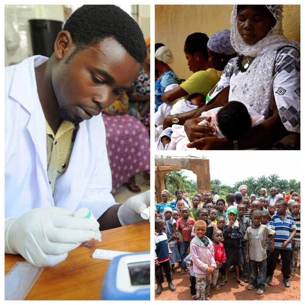 Primary health care in Nigeria challenges Legit.ng