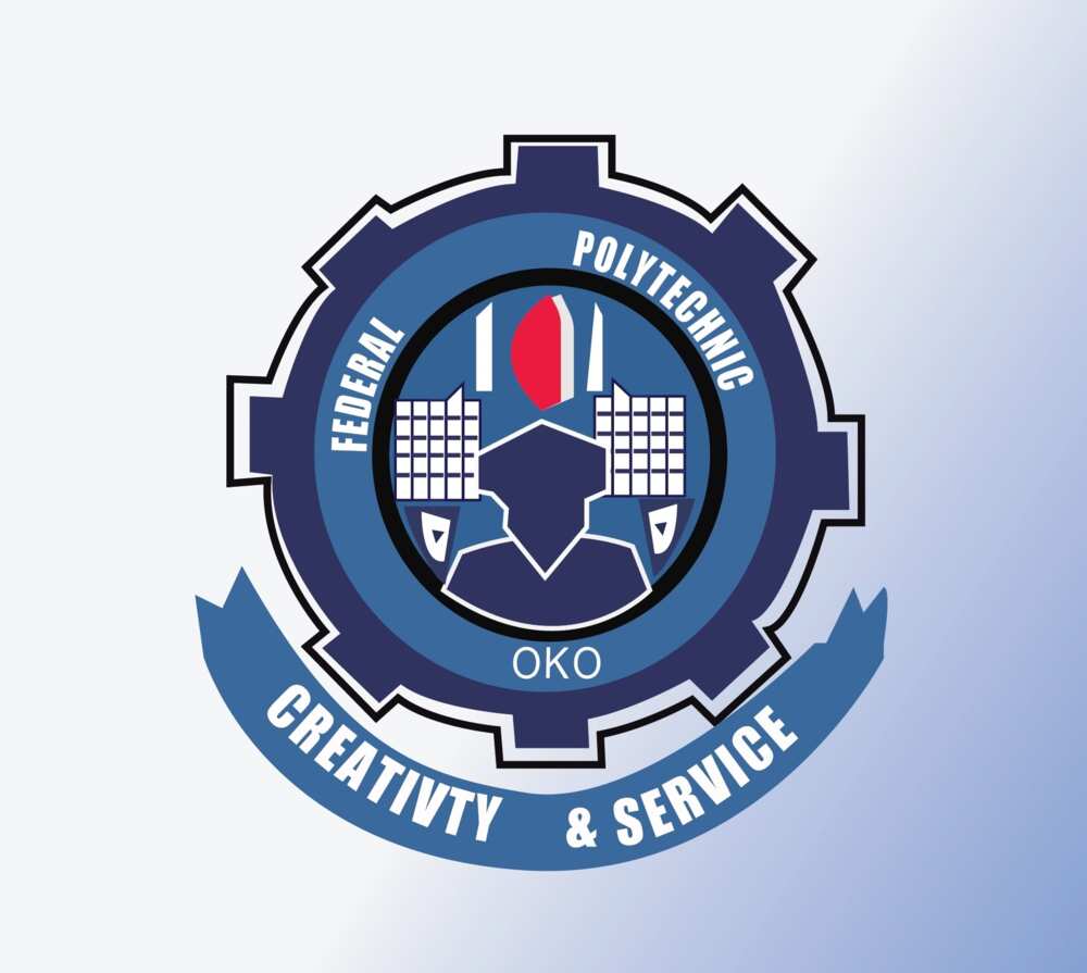 Oko Poly logo