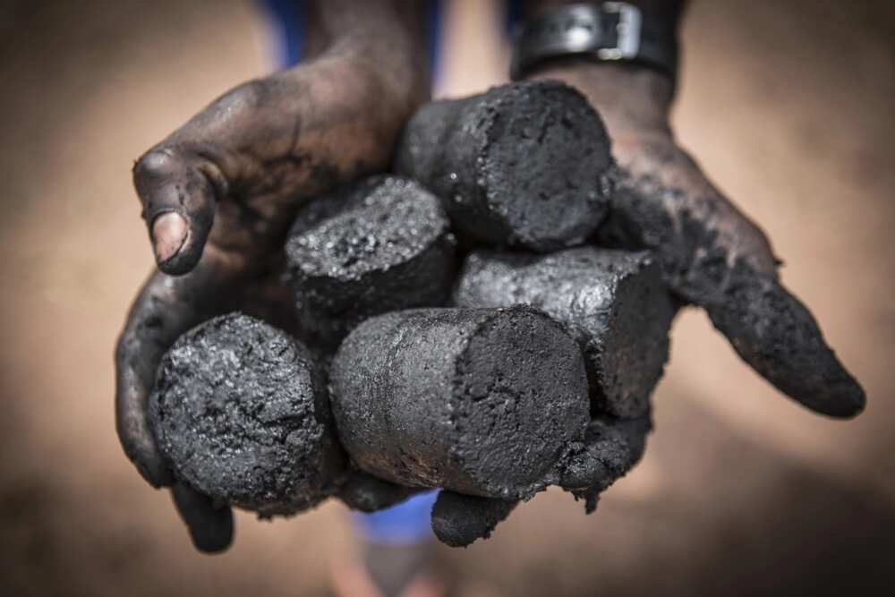How to start charcoal business in Nigeria