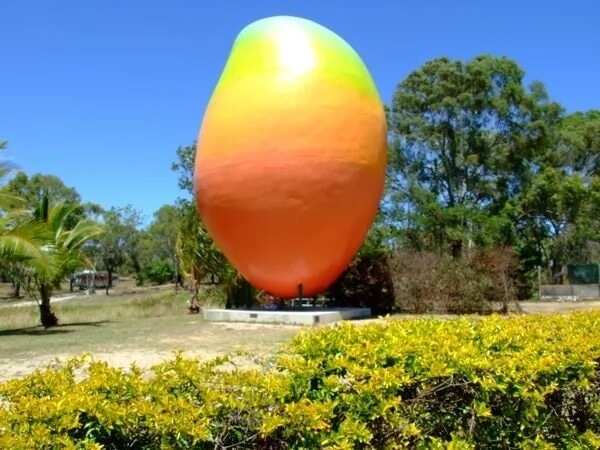 mango monument