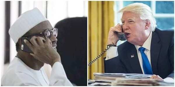 Nigerians Blast Buhari over proposed phone call with Trump