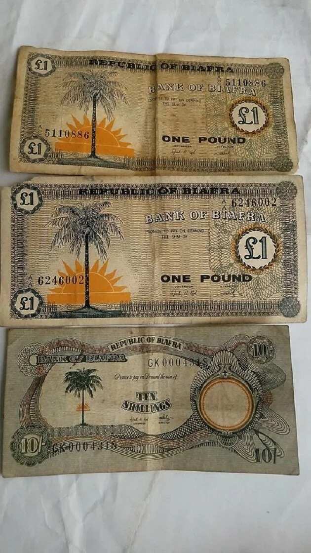 Biafra_notes