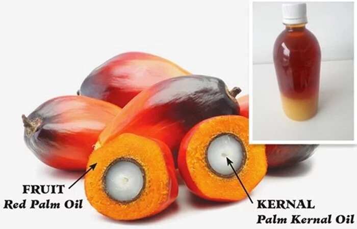 The main agricultural products in Nigeria: palm kernel oil
