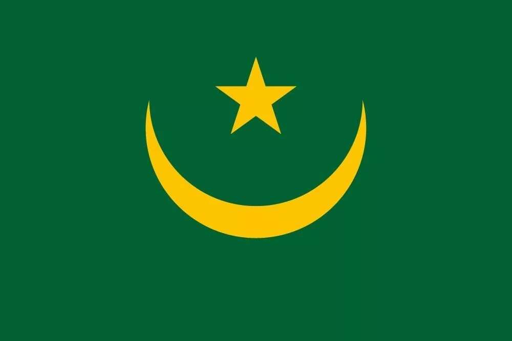 Flag of Mauritania