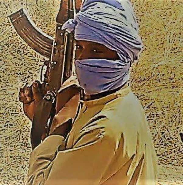 Dubi Hotunan Manyan Kwamandojin Boko Haram Da Sojin Najeriya Su Ka Kashe