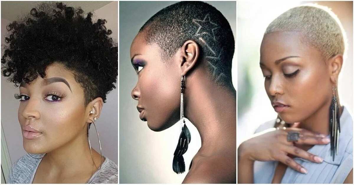 Top low cut hairstyles for natural hair 
