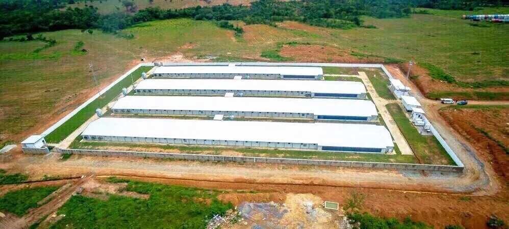 Buhari to commission integrated animal feed mills, breeding farm and hatchery in Sub-Saharan Africa Buhari to commission integrated animal feed mills, breeding farm and hatchery in Sub-Saharan Africa