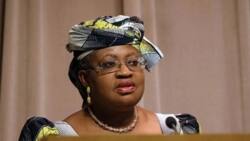 Okonjo-Iweala reveals those supporting her to get WTO top job