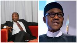 Buhari's absence: Senior Advocates reacts