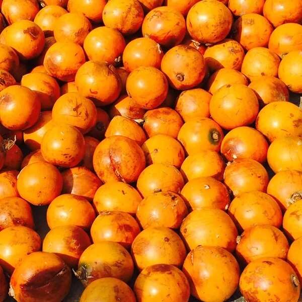 Agbalumo and pregnancy: What is the health effect?