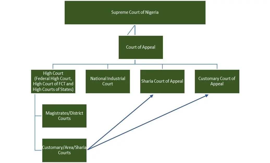 Federal Court System Structure Chart