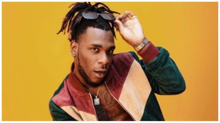 Ikorodu Lucky Dube - Burna Boy gets dragged after he taunted Nigerians over finance office fire