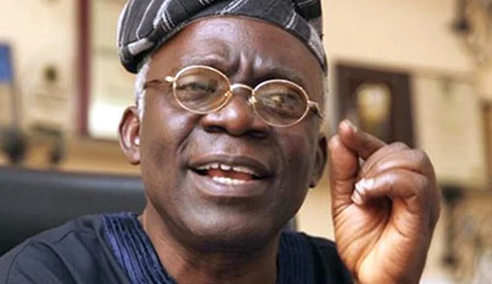 Police permit not required for rallies in Nigeria - Femi Falana