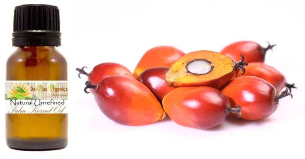 What Is Palm Kernel Oil? - The Coconut Mama