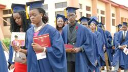 How much is the postgraduate tuition fee of Futminna?