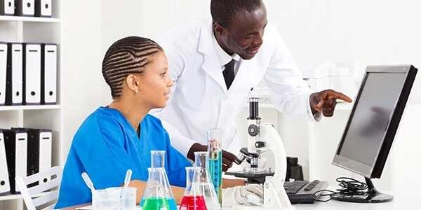 Top university in Nigeria for pharmacy