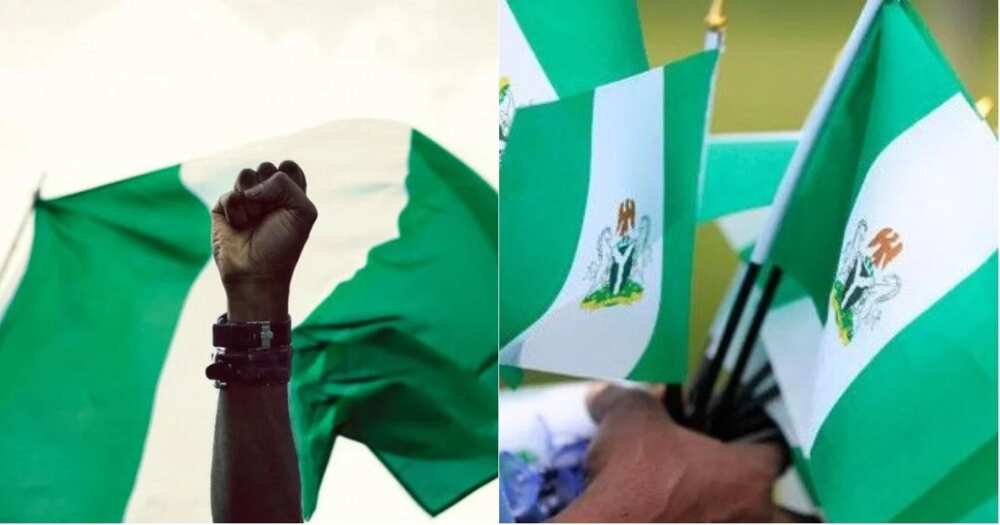 What Does The Green Colour In Nigeria Flag Represent