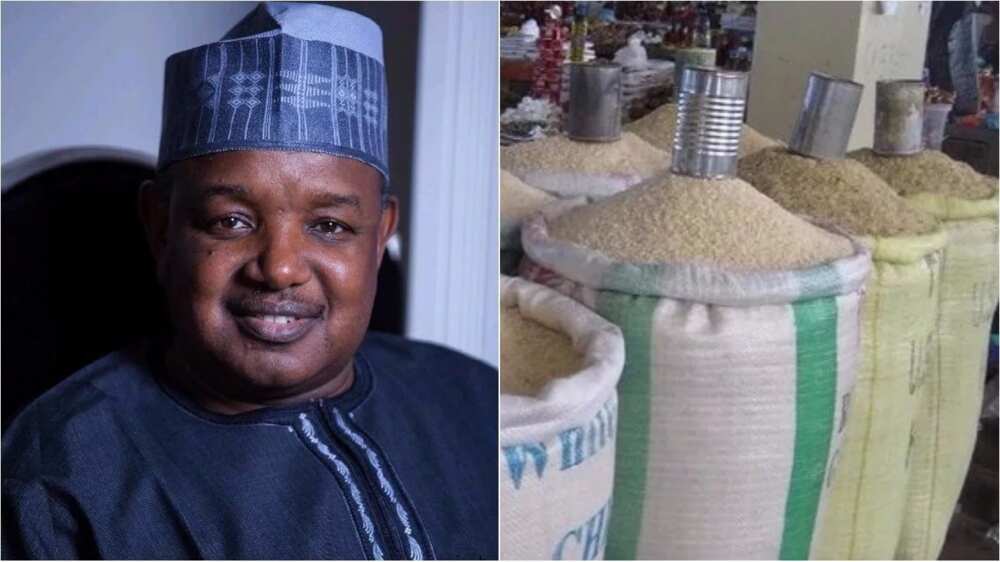 We are importing poison, not rice –Presidential committee