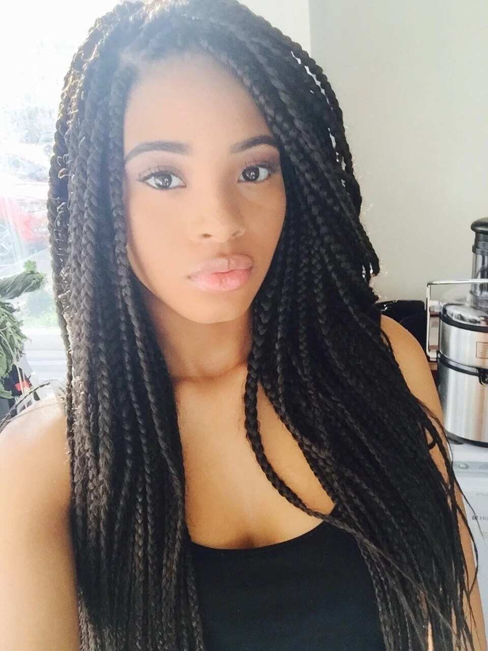 Natural Hair Protective Style, Meek Mill Braids