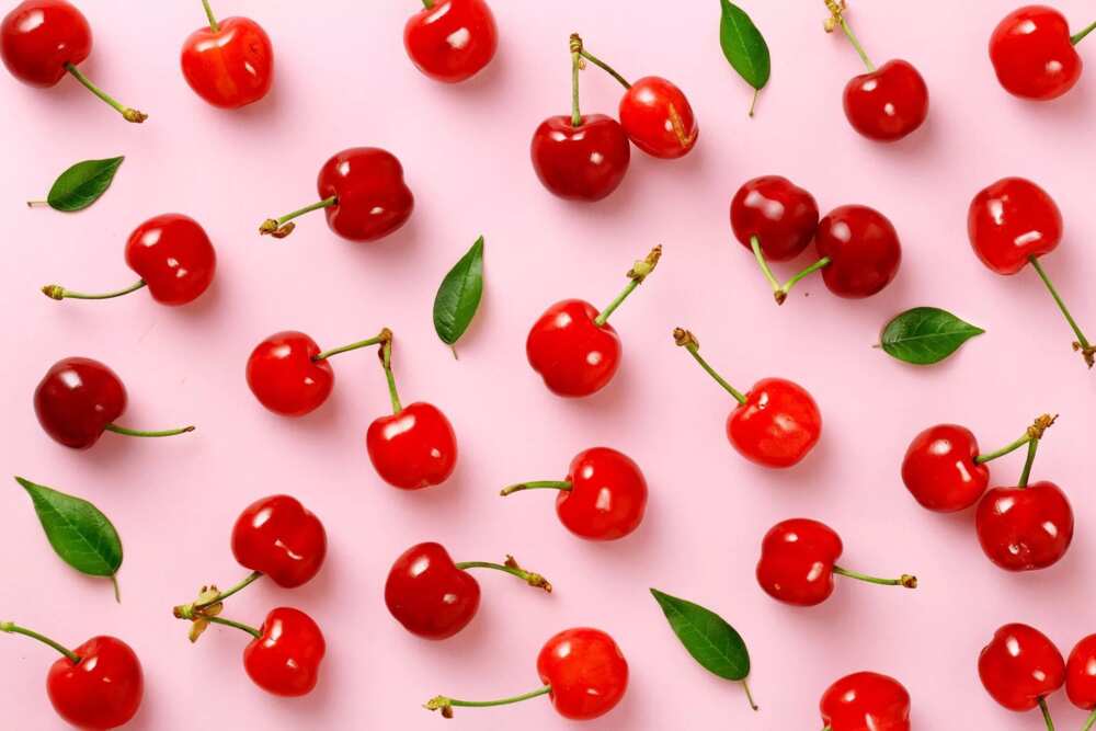 varieties of cherries